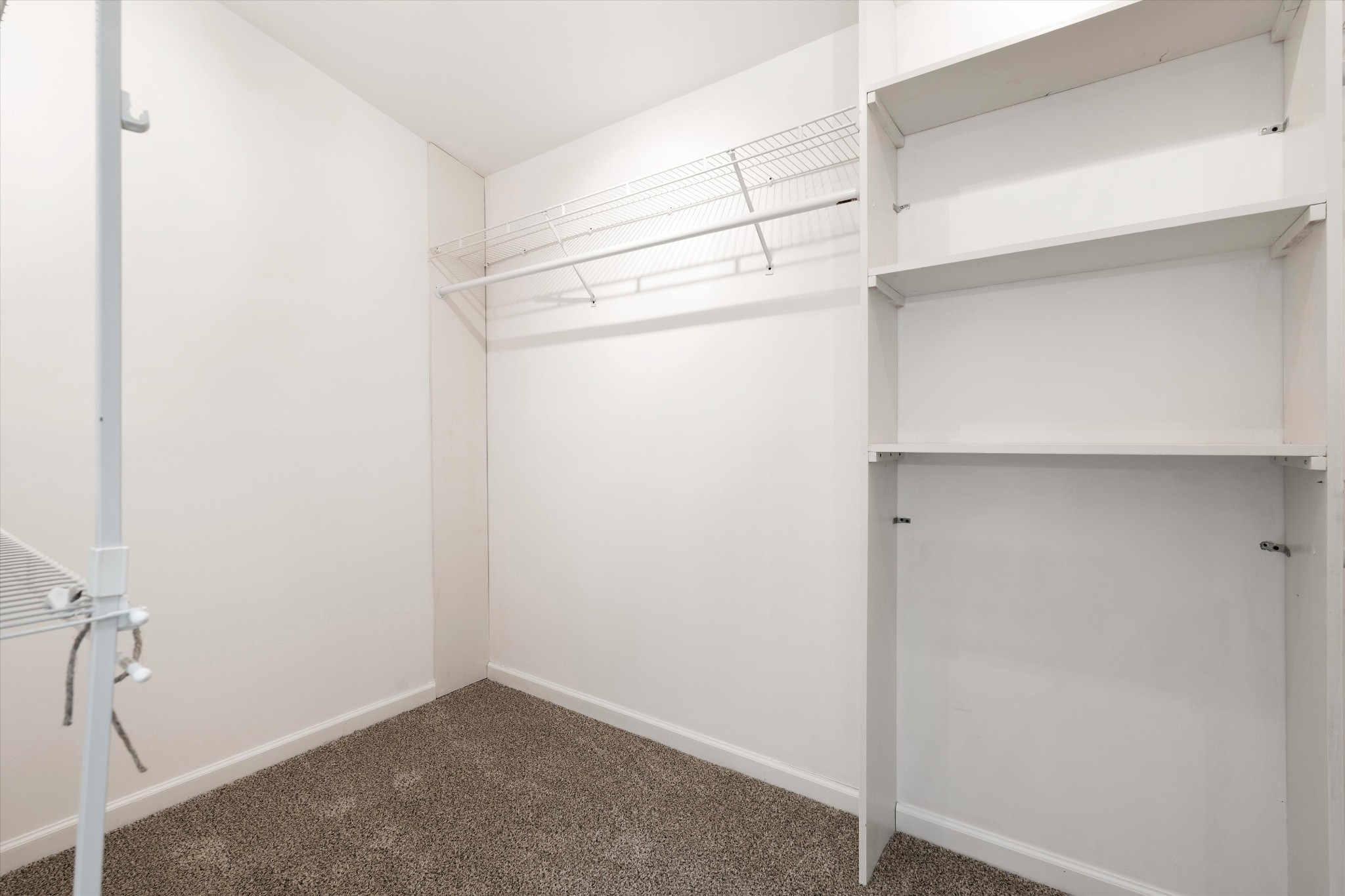 114 Forrest Valley Ct