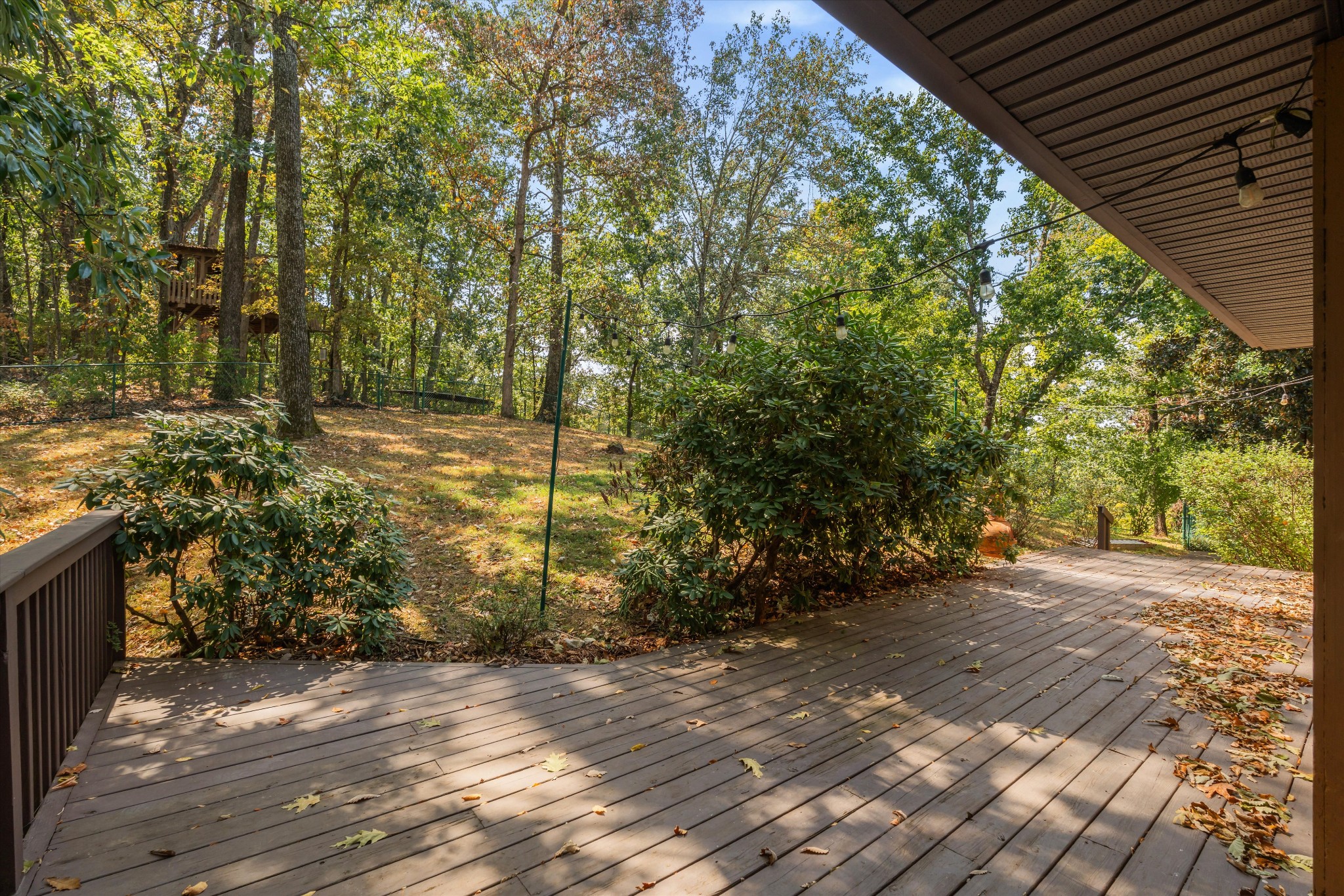 114 Forrest Valley Ct