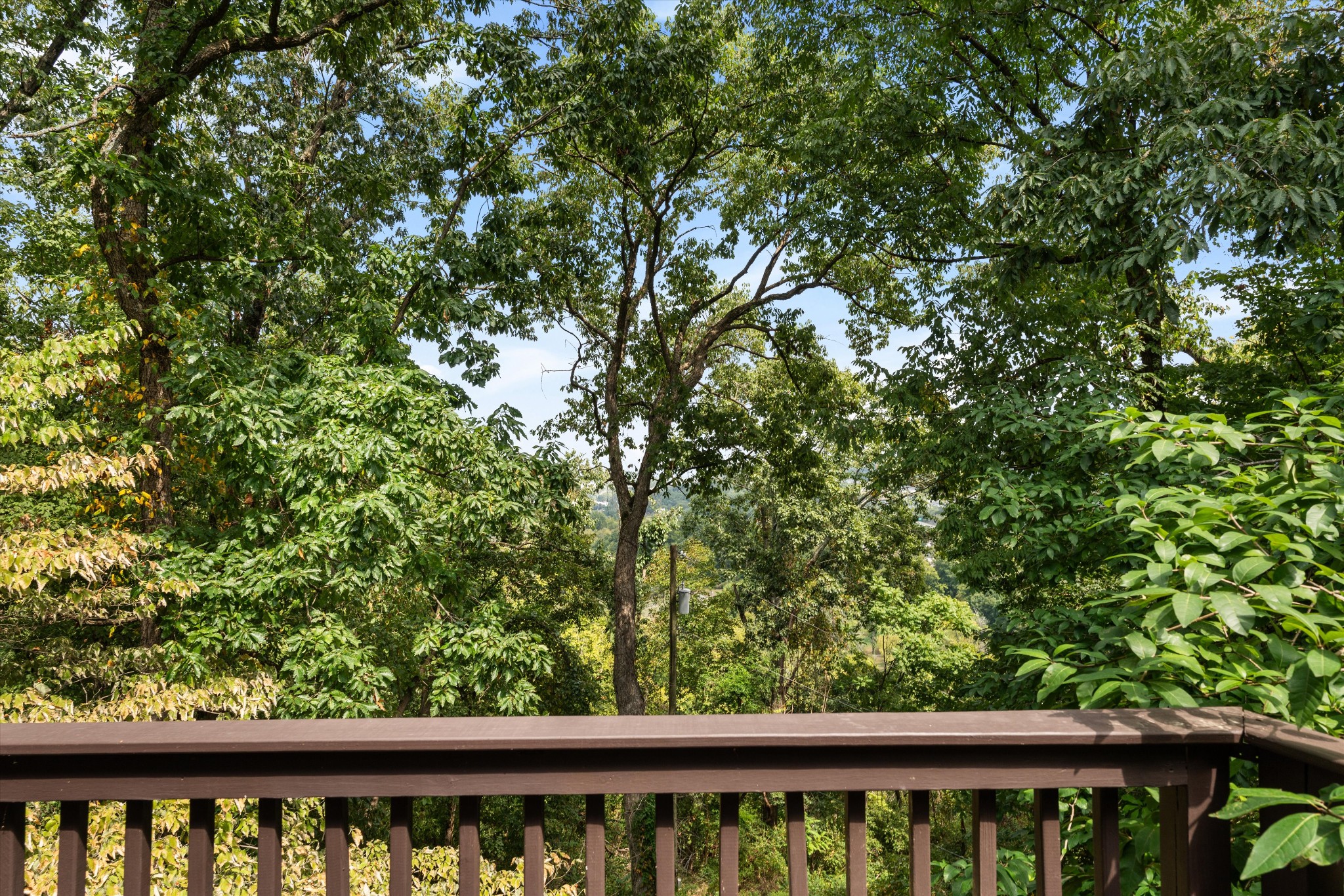 114 Forrest Valley Ct