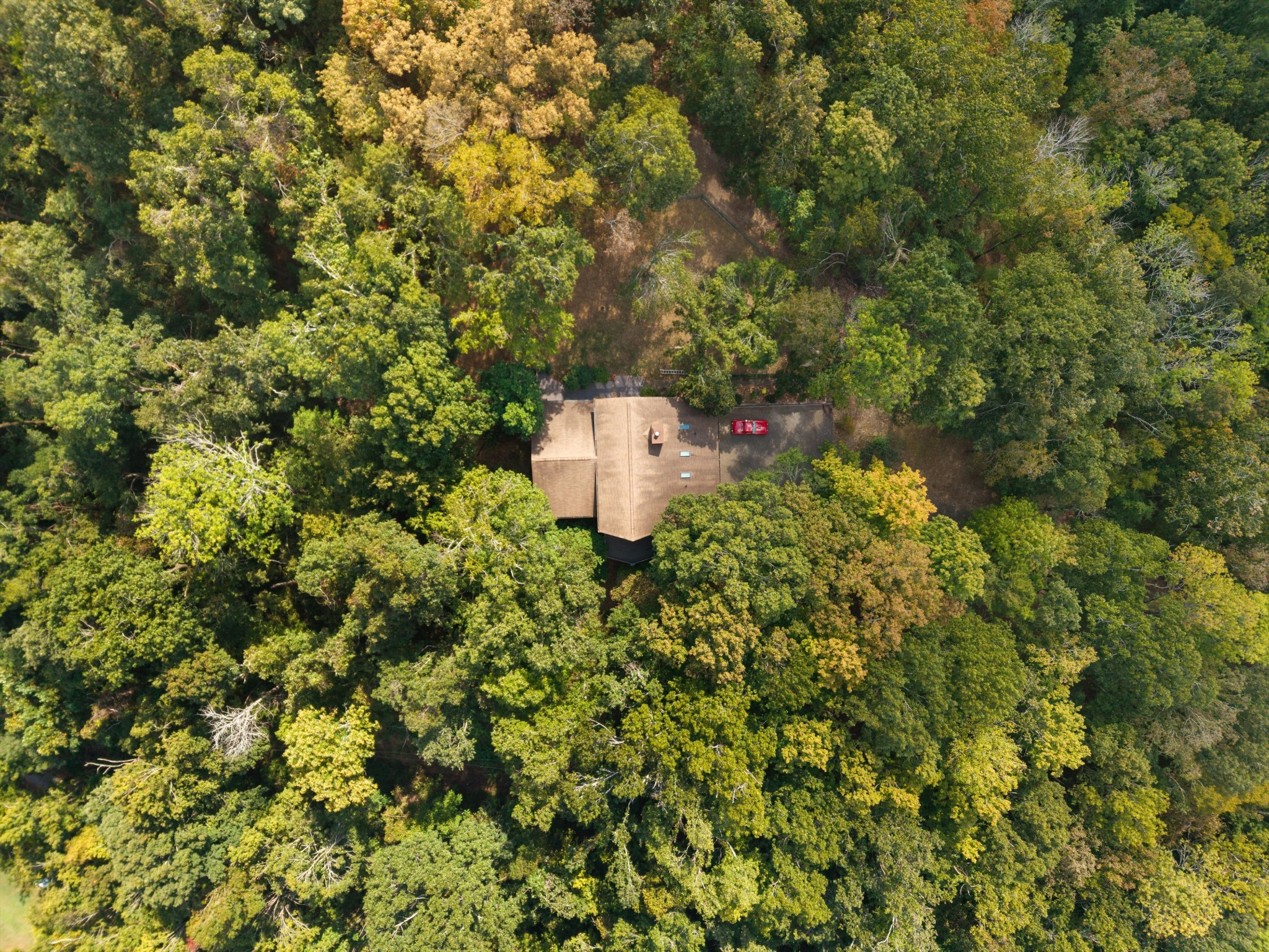114 Forrest Valley Ct