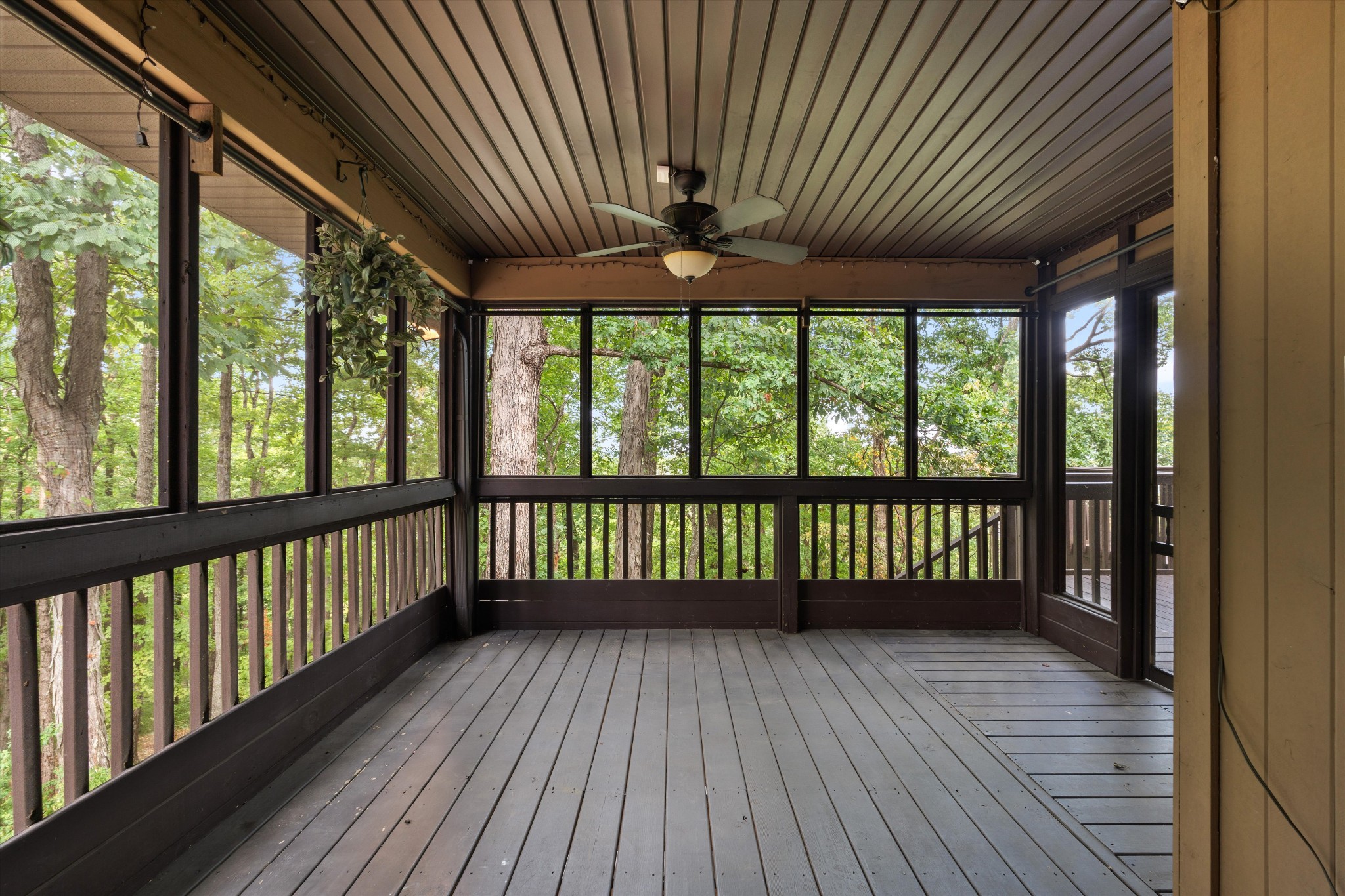 114 Forrest Valley Ct