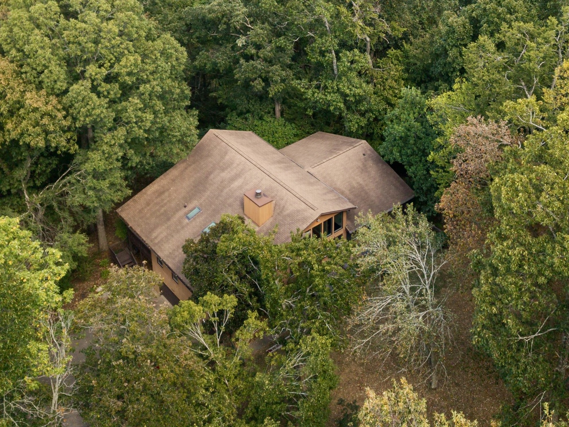 114 Forrest Valley Ct