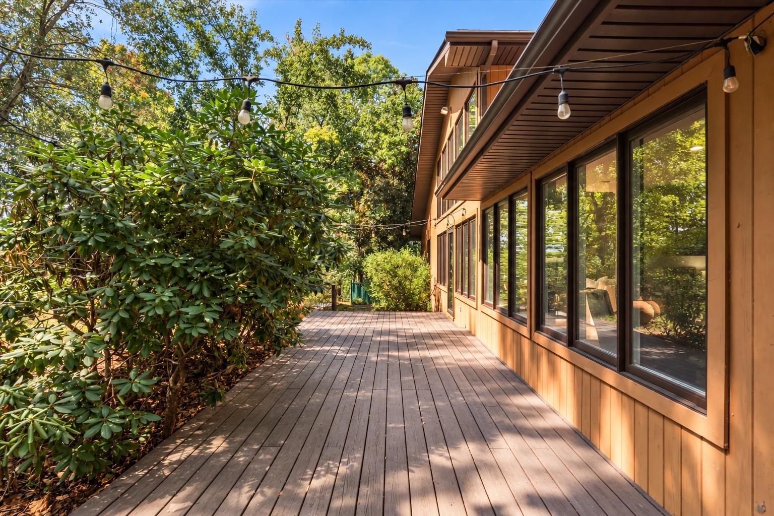 114 Forrest Valley Ct