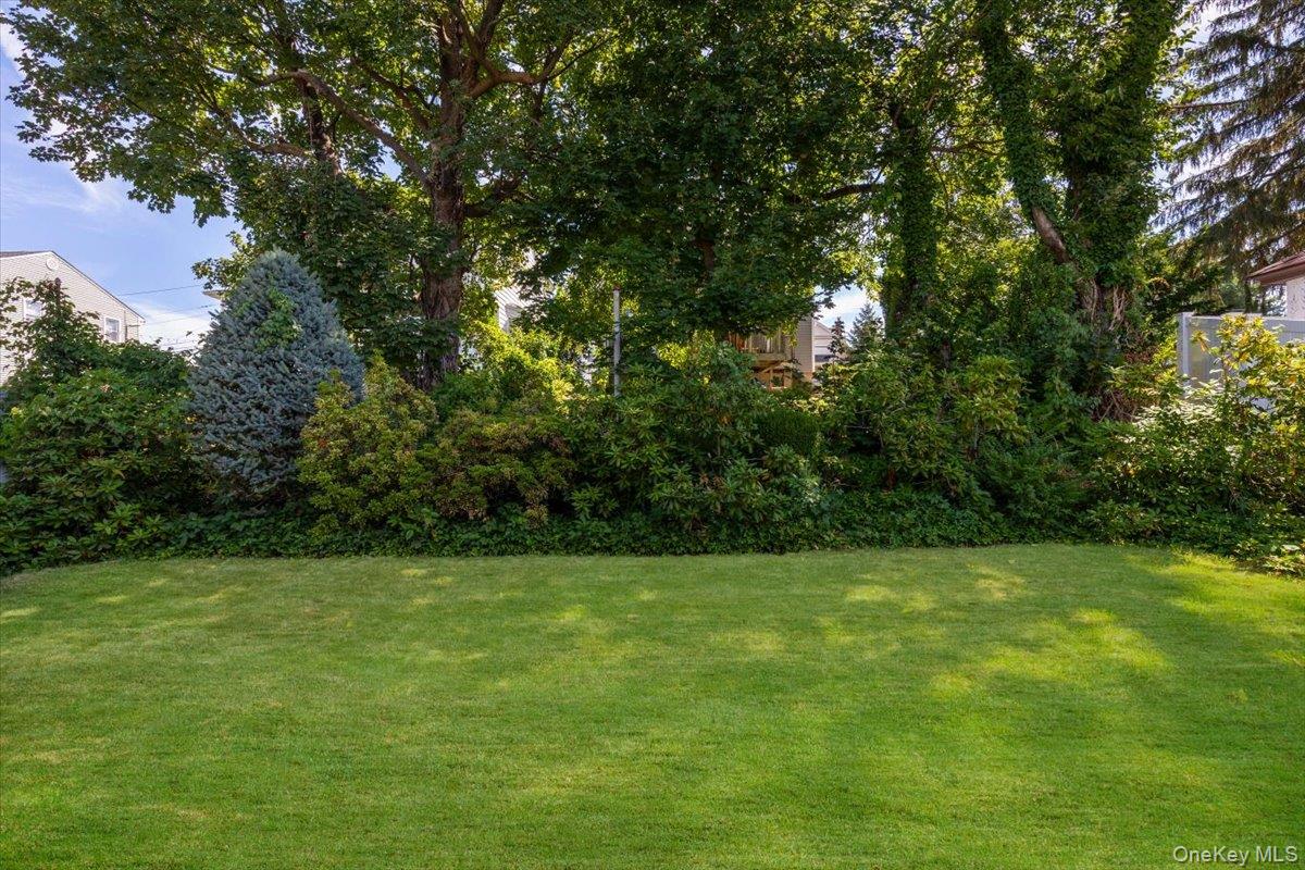 96 Rossiter Avenue