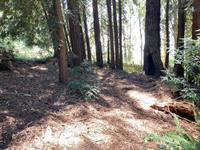 000 000 Bella Vista Lane