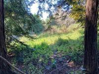 000 000 Bella Vista Lane