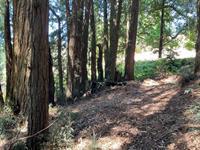 000 000 Bella Vista Lane