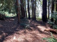 000 000 Bella Vista Lane