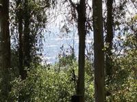 000 000 Bella Vista Lane