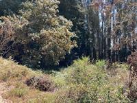 000 000 Bella Vista Lane