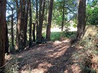 000 000 Bella Vista Lane