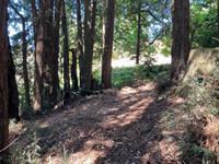 000 000 Bella Vista Lane