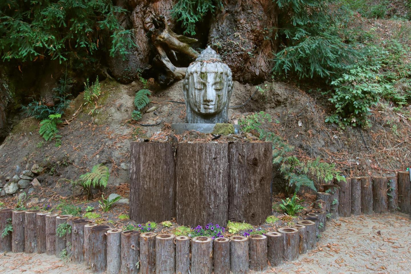 16770 Redwood Lodge RD