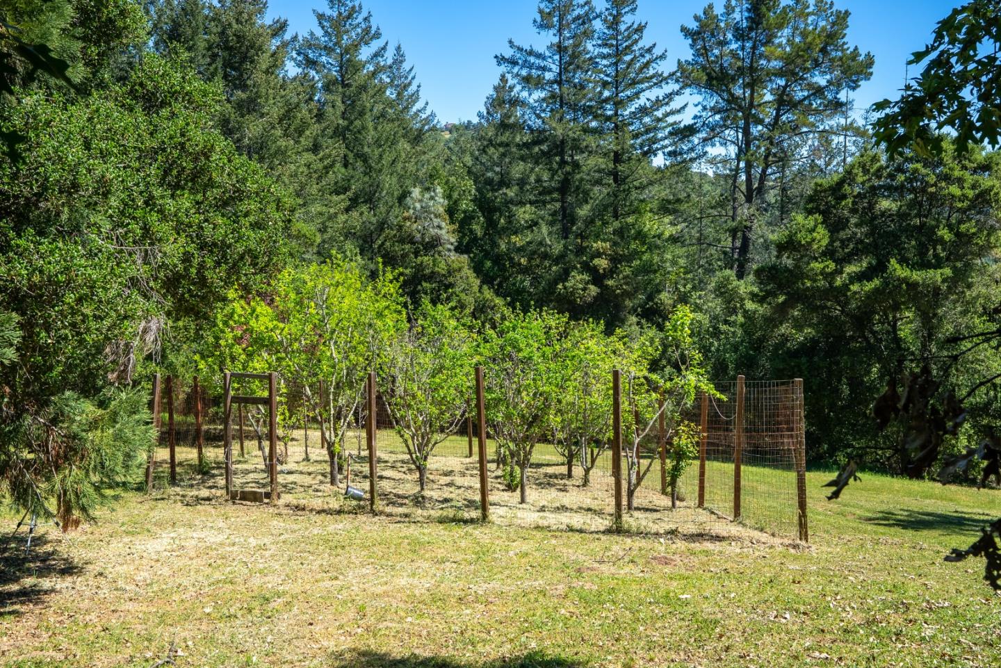 20471 Black Road