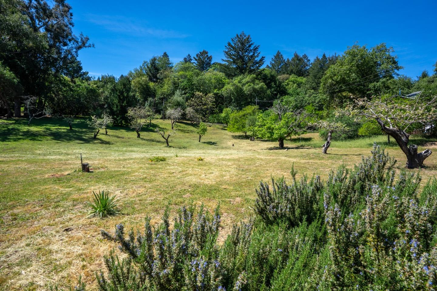 20471 Black Road