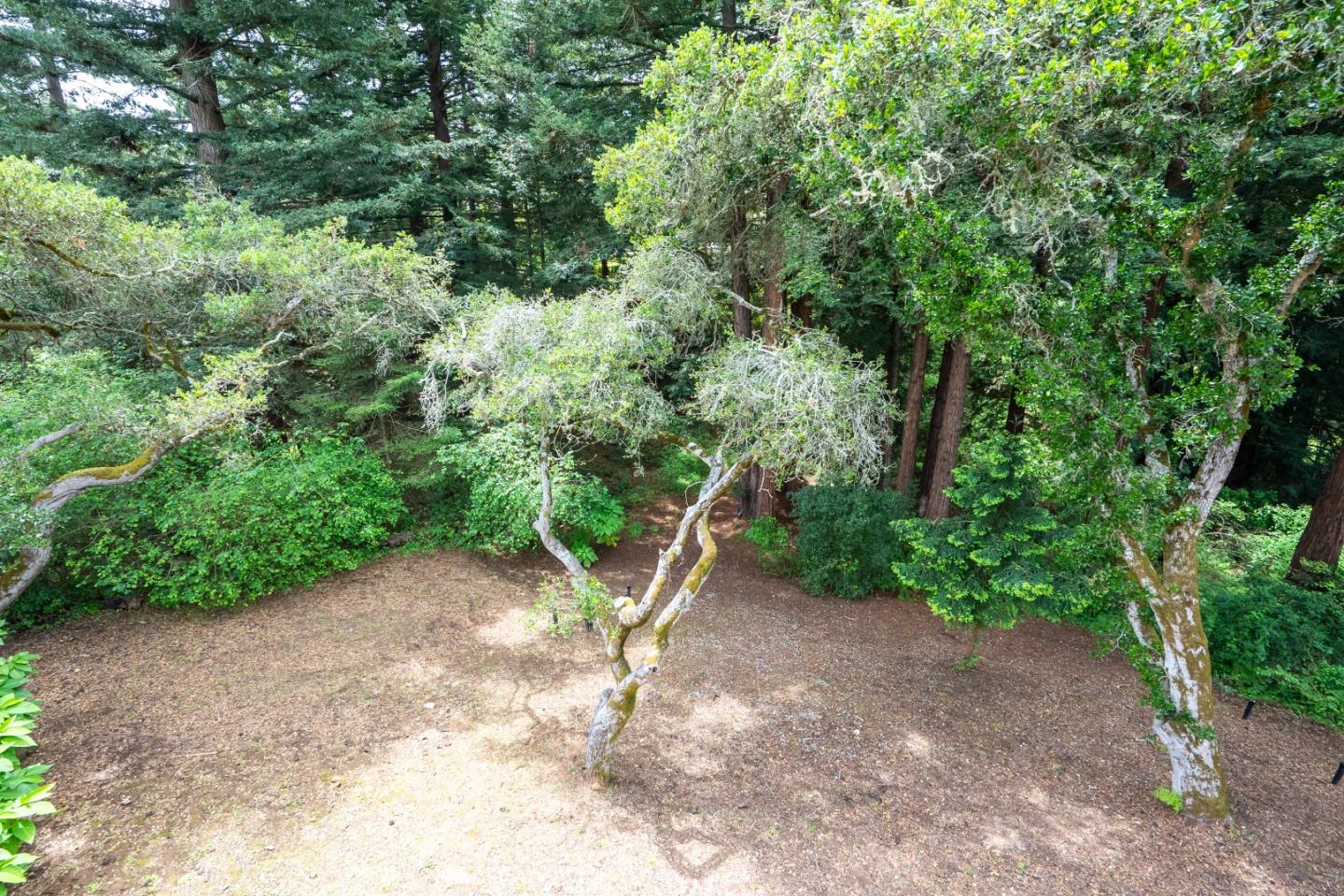 28 Wildwood Court