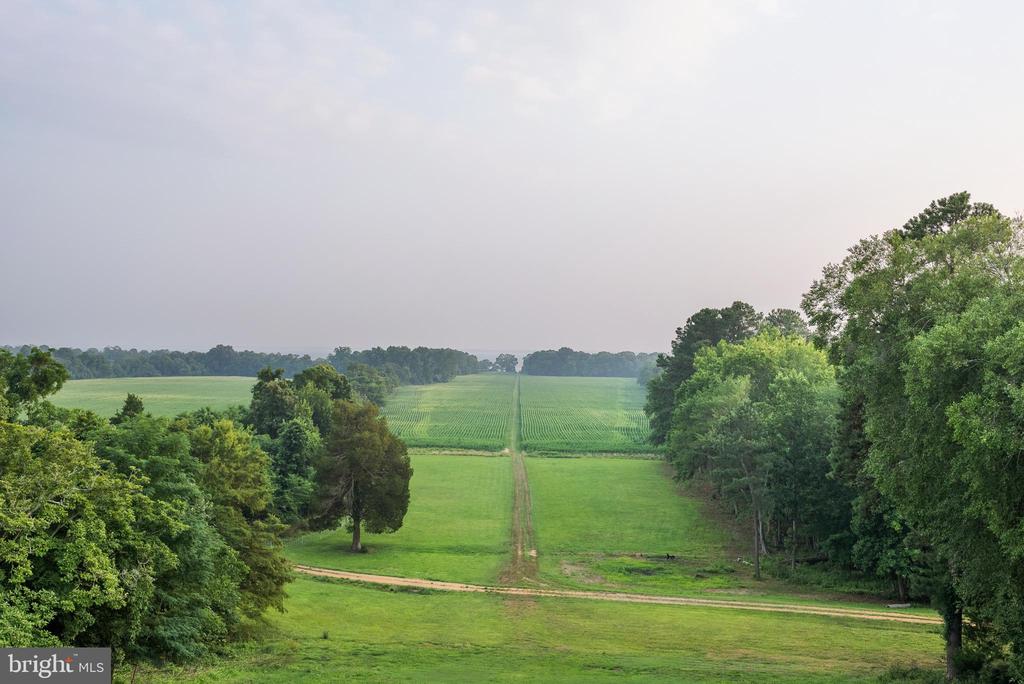 19700 MULBERRY FIELDS ROAD