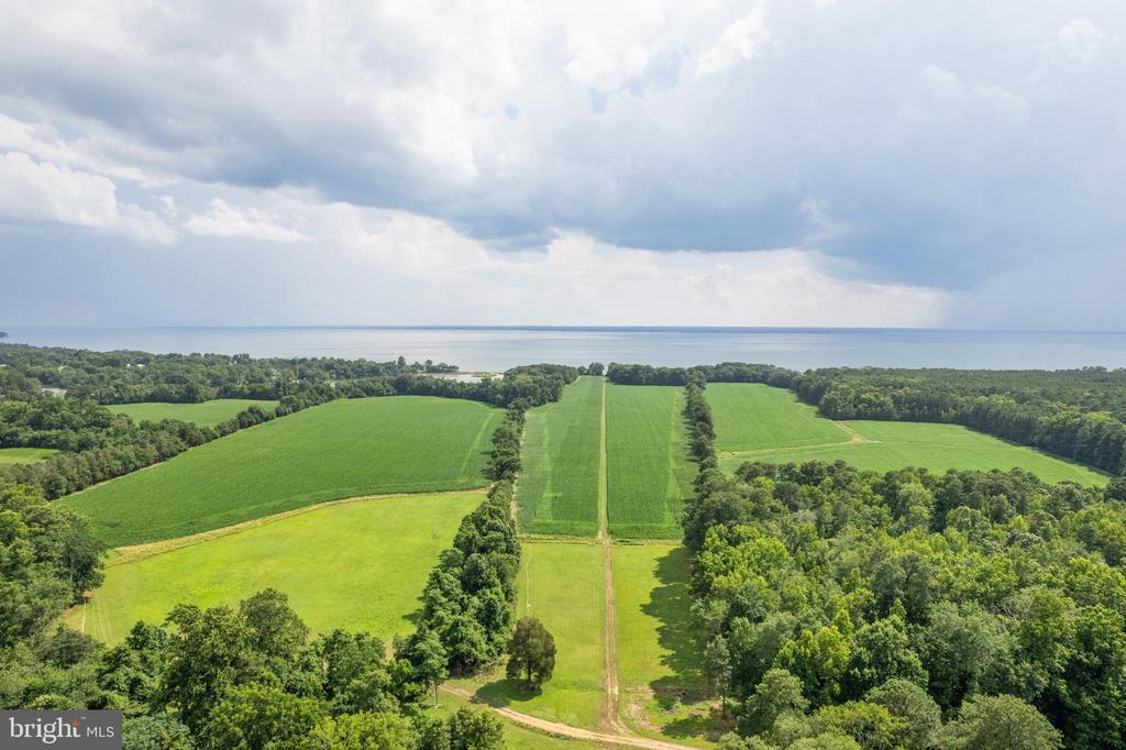 19700 MULBERRY FIELDS ROAD