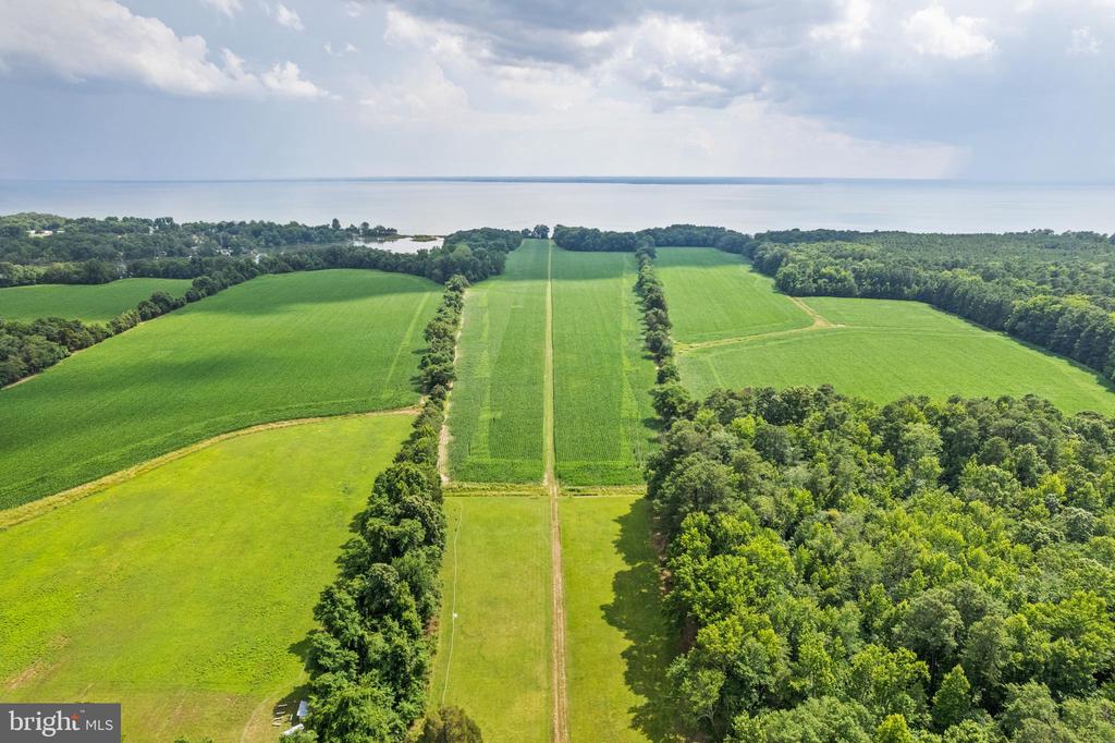 19700 MULBERRY FIELDS ROAD