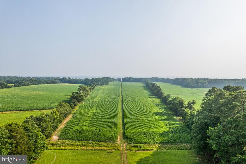 19700 MULBERRY FIELDS ROAD