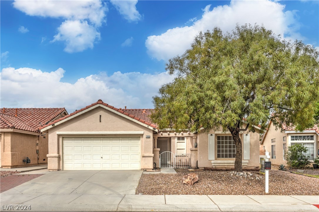 7113 Feather Pine Street
