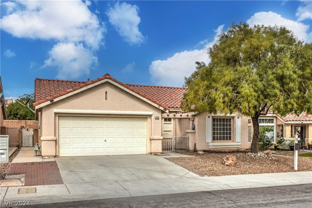 7113 Feather Pine Street
