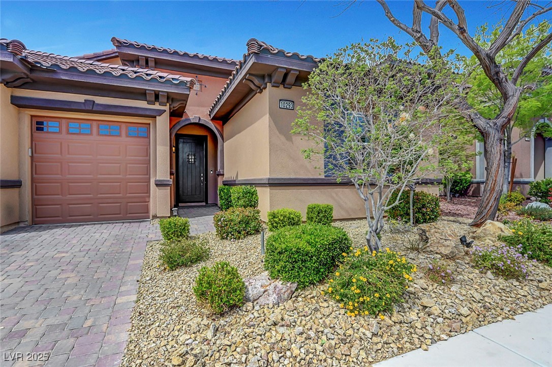 10293 Koala Forest Street