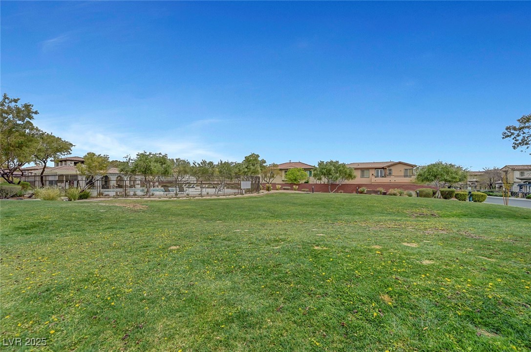 10293 Koala Forest Street