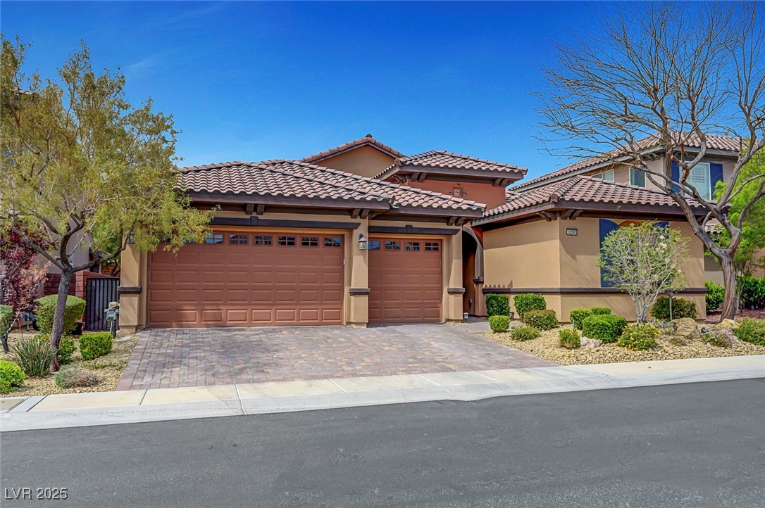 10293 Koala Forest Street