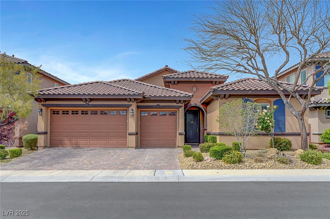10293 Koala Forest Street