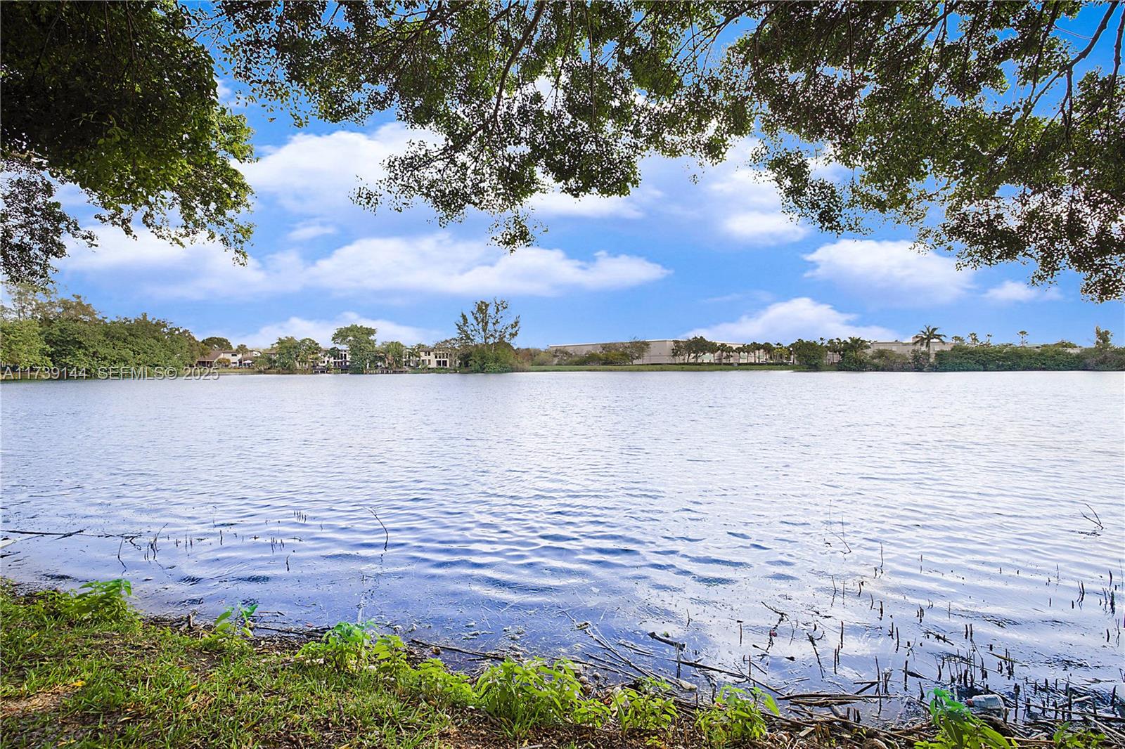 3301 Spanish Moss Terrace 904