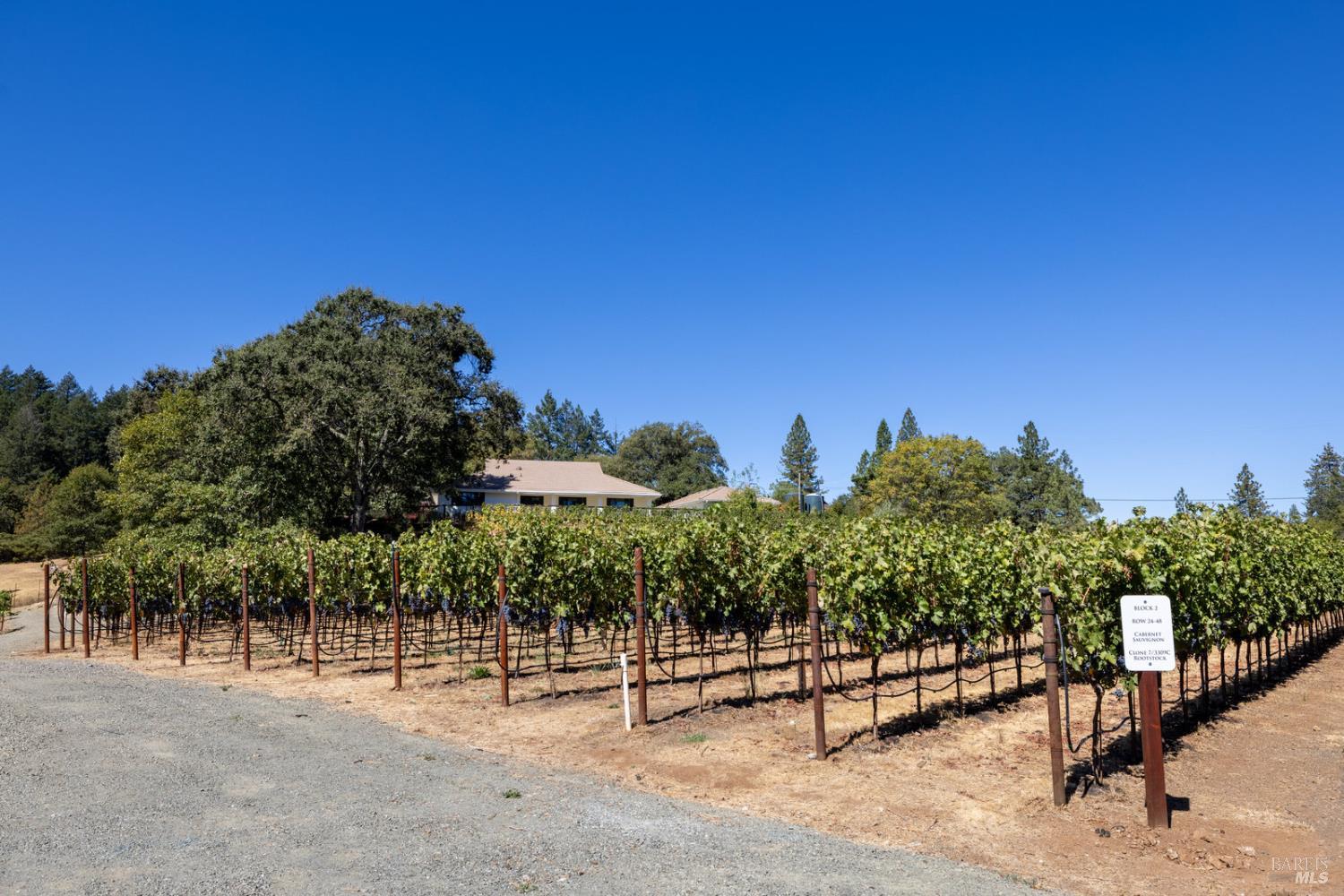 875 White Cottage Road N