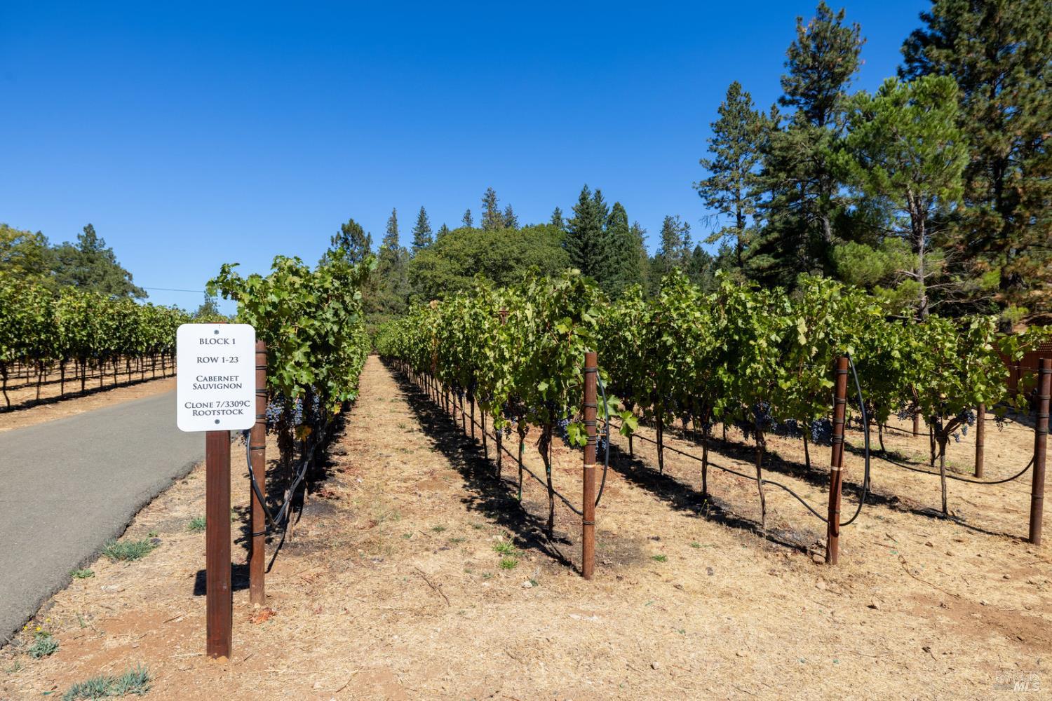 875 White Cottage Road N