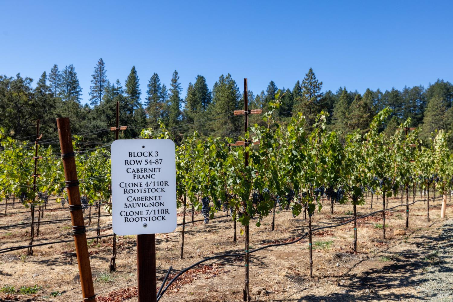 875 White Cottage Road N