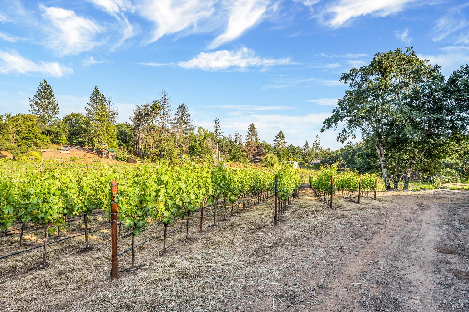 875 White Cottage Road N