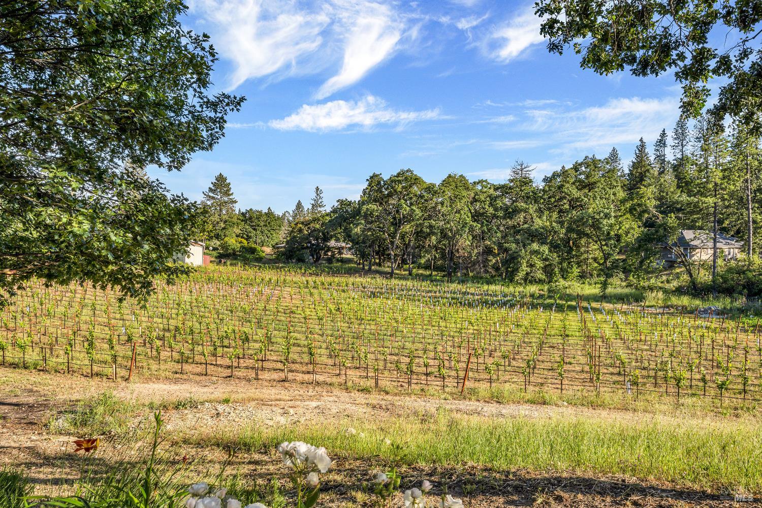 875 White Cottage Road N