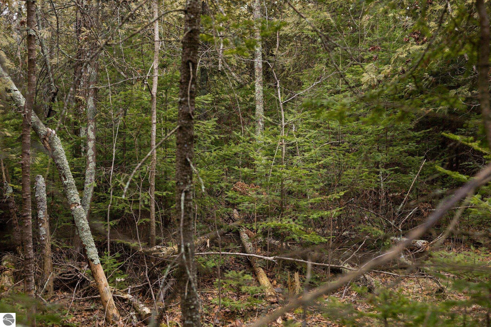 Lot 6 N Cathead Bay Drive