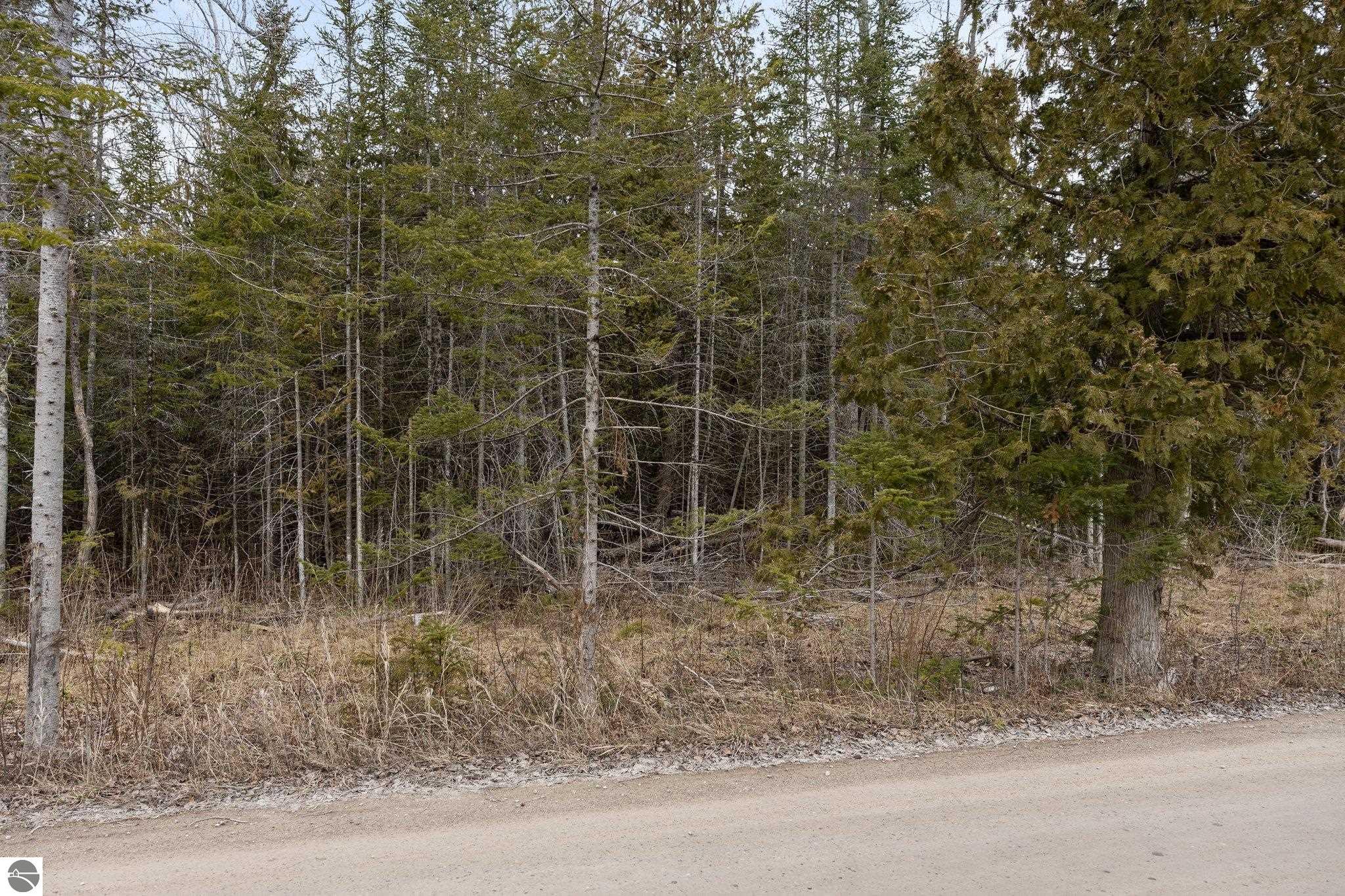 Lot 6 N Cathead Bay Drive