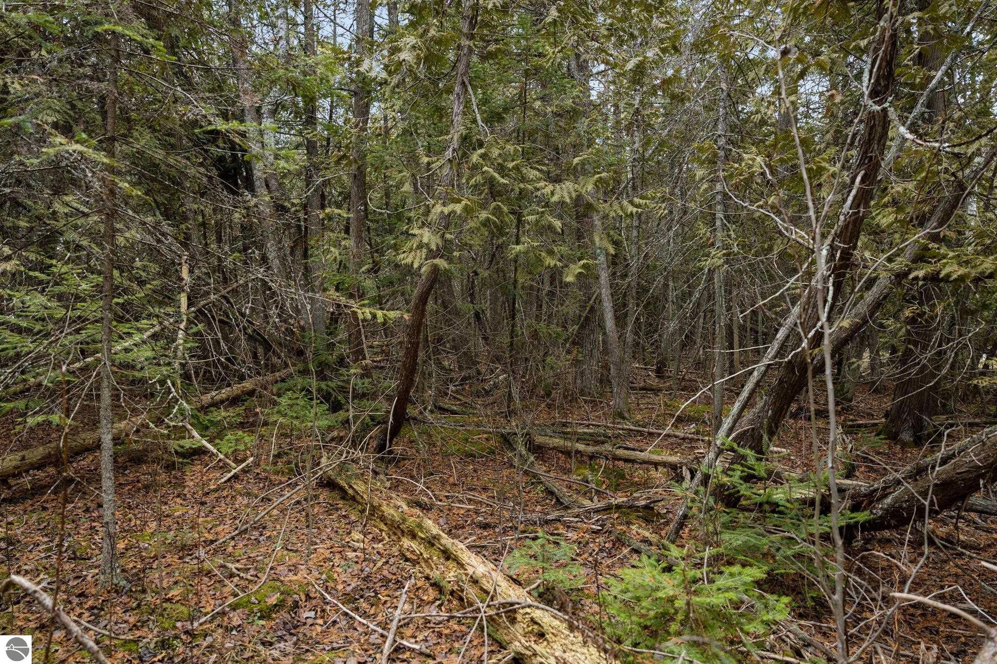 Lot 6 N Cathead Bay Drive