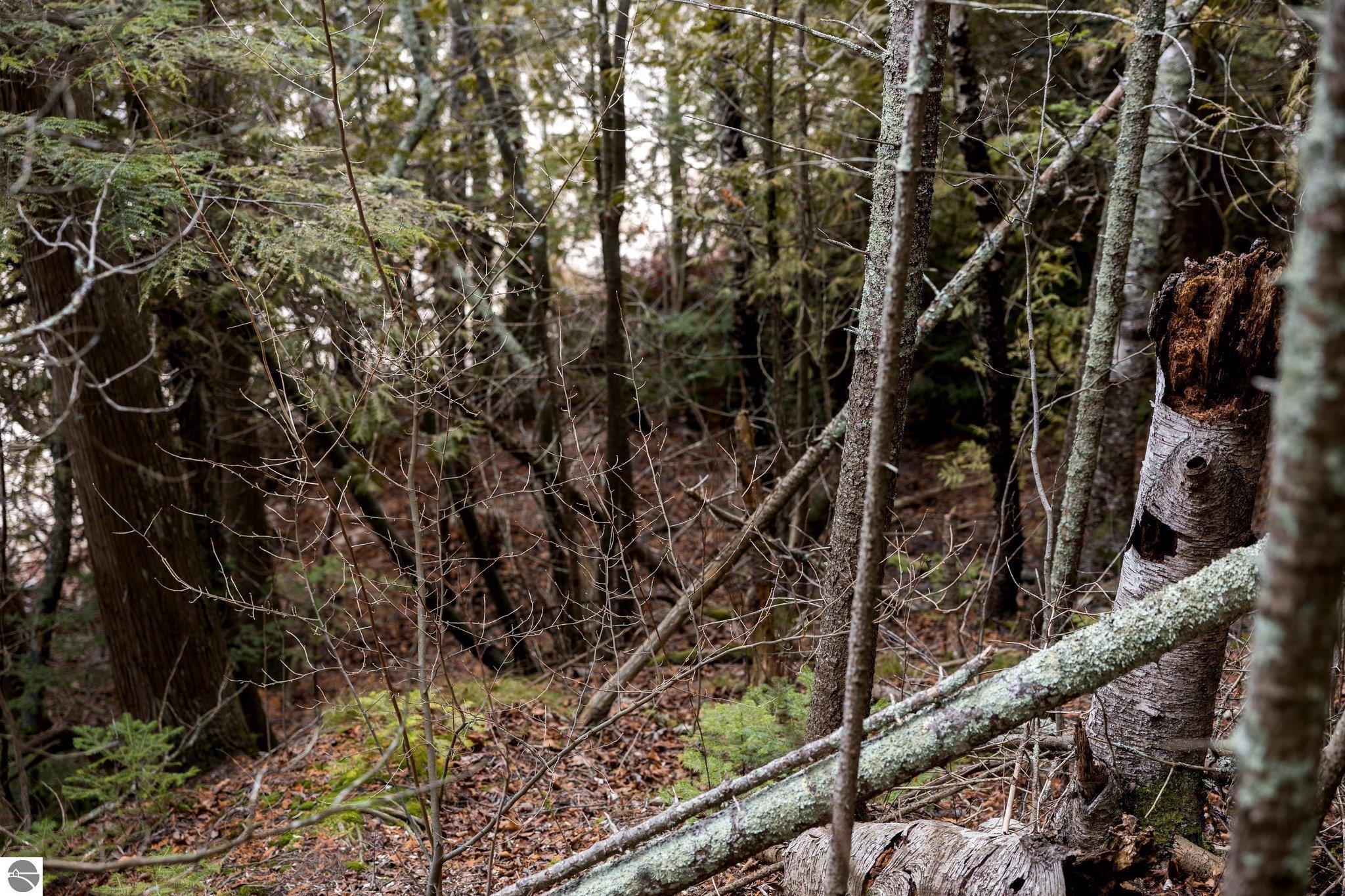 Lot 6 N Cathead Bay Drive