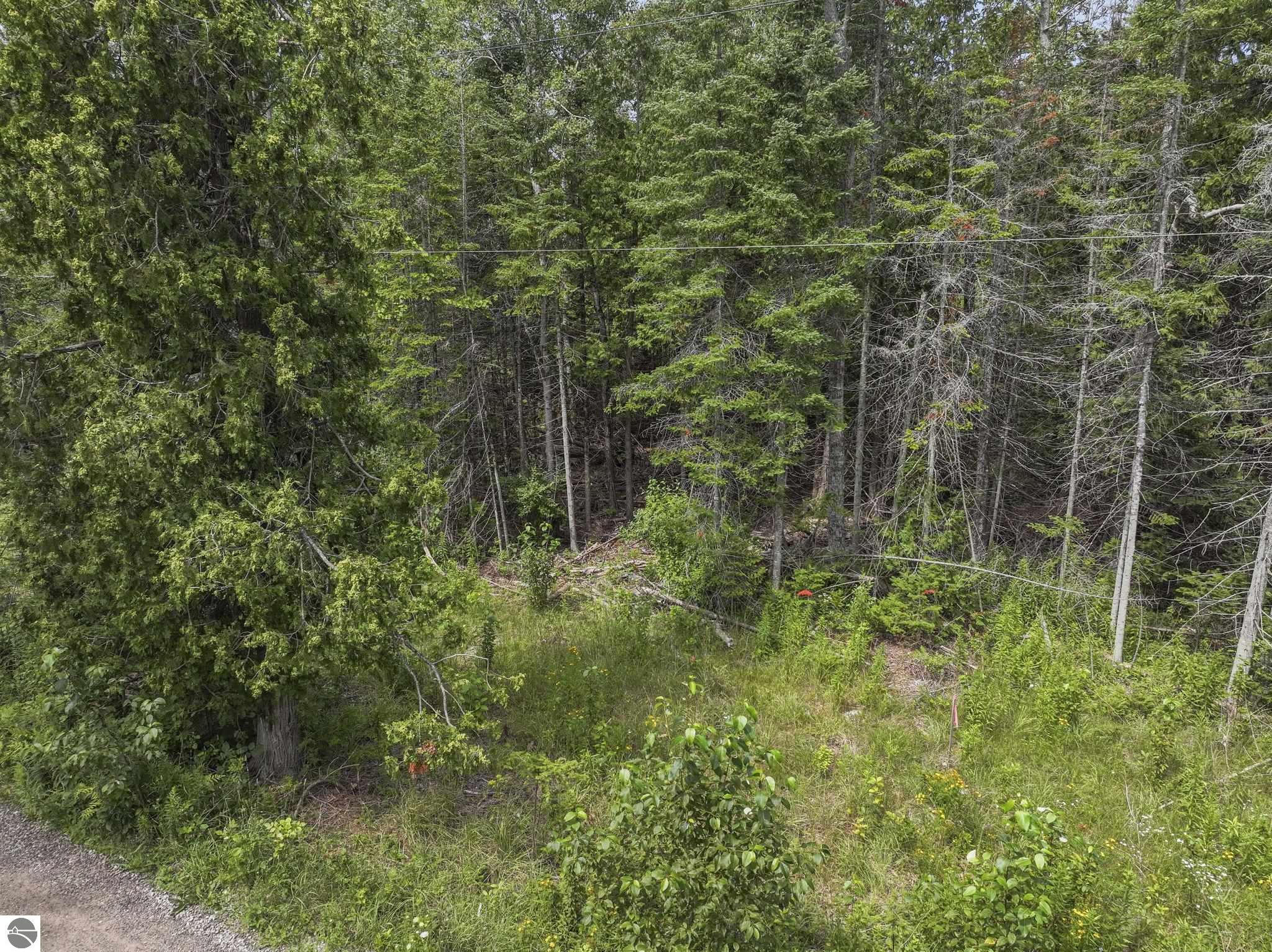 14935 N Cathead Bay Drive