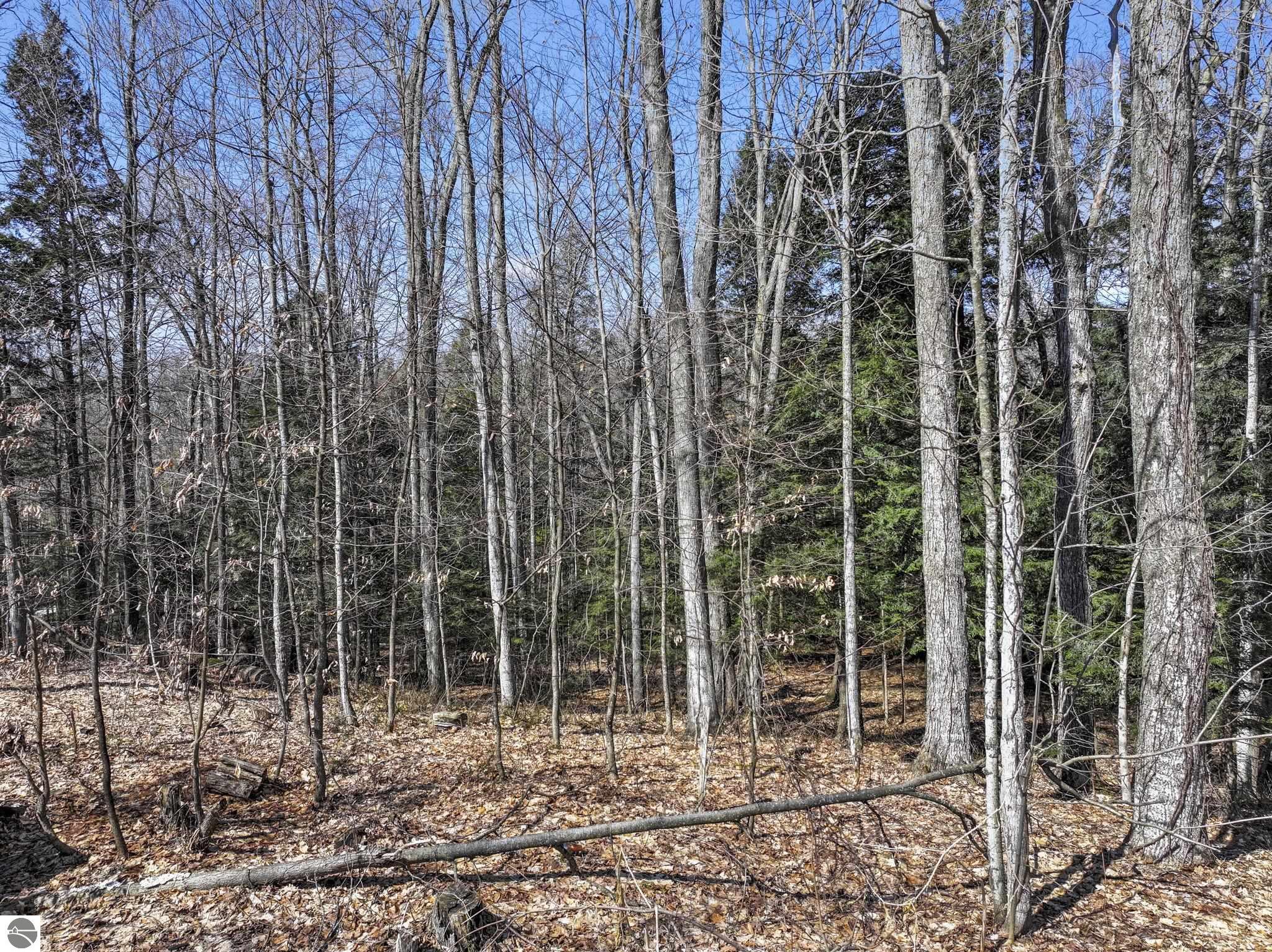 510 S Three Mile Road