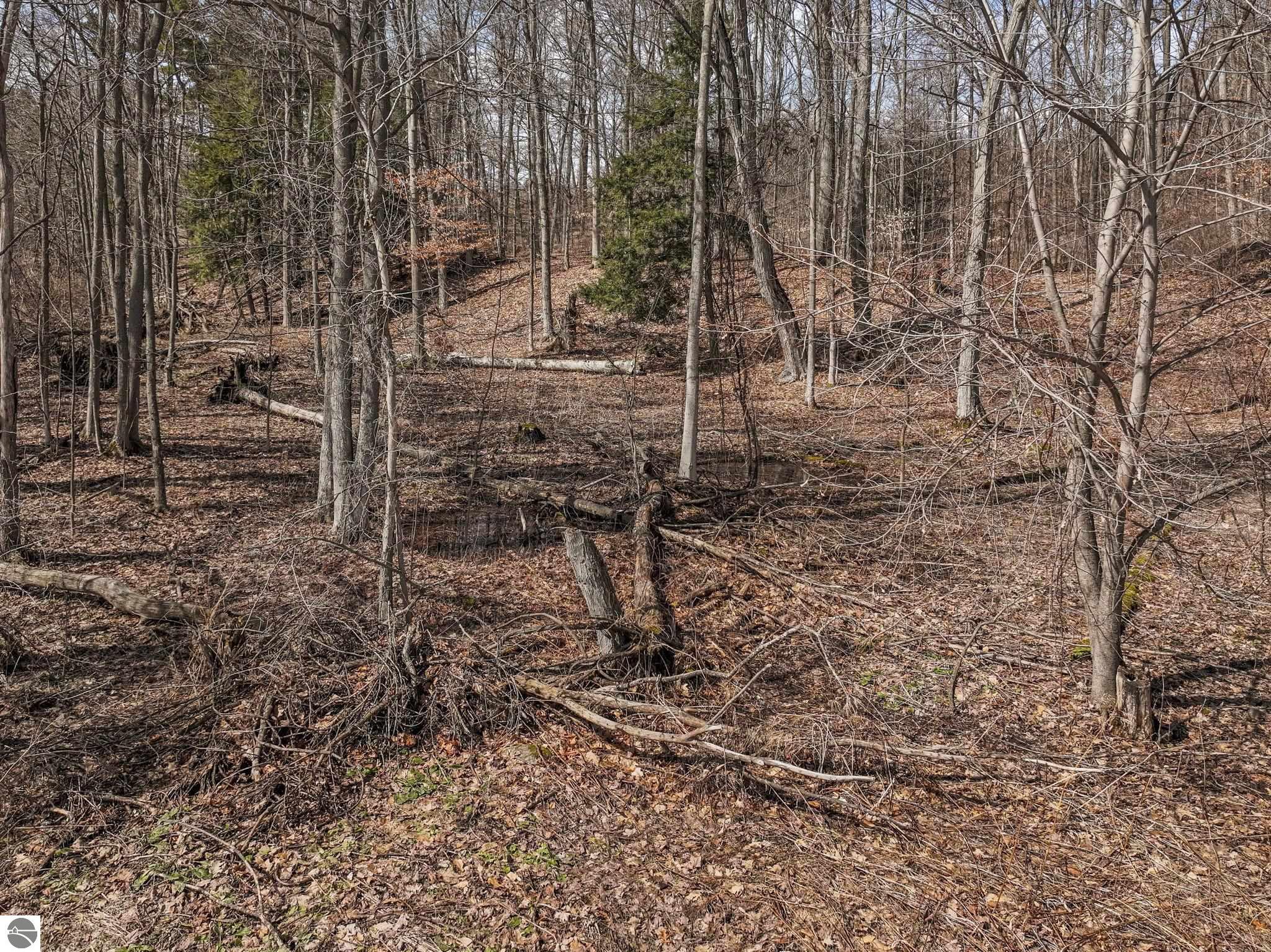 00000 Bluff Road