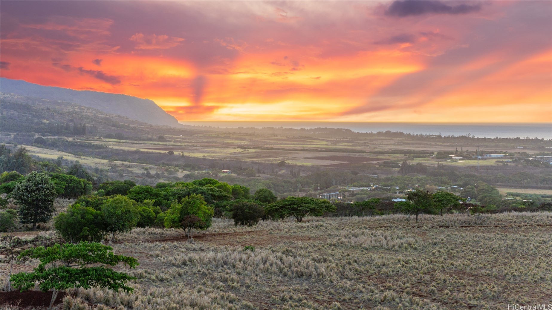 65-283 Kaukonahua Road 2