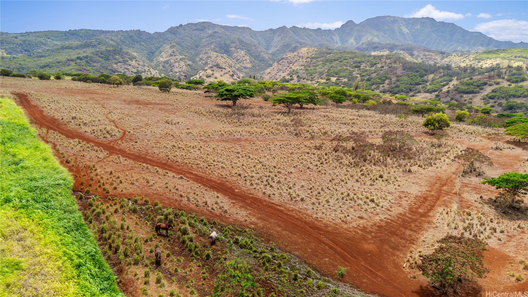 65-283 Kaukonahua Road 4