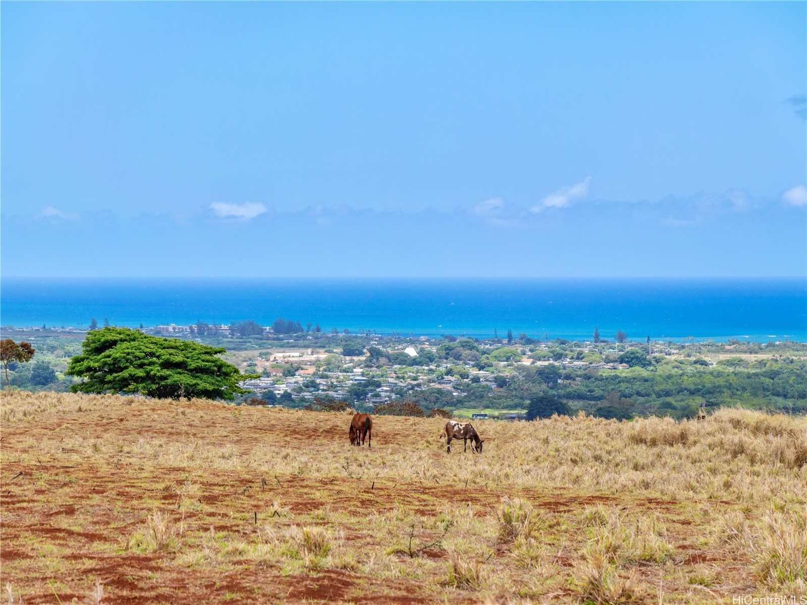 65-283 Kaukonahua Road 4