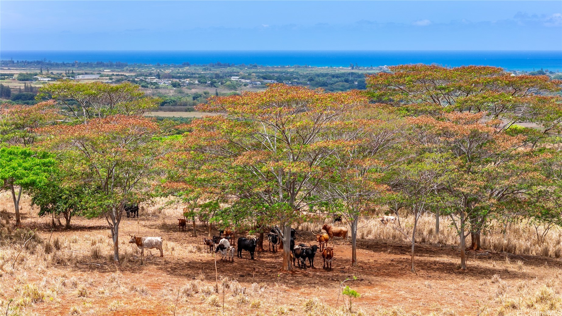 65-283 Kaukonahua Road 7