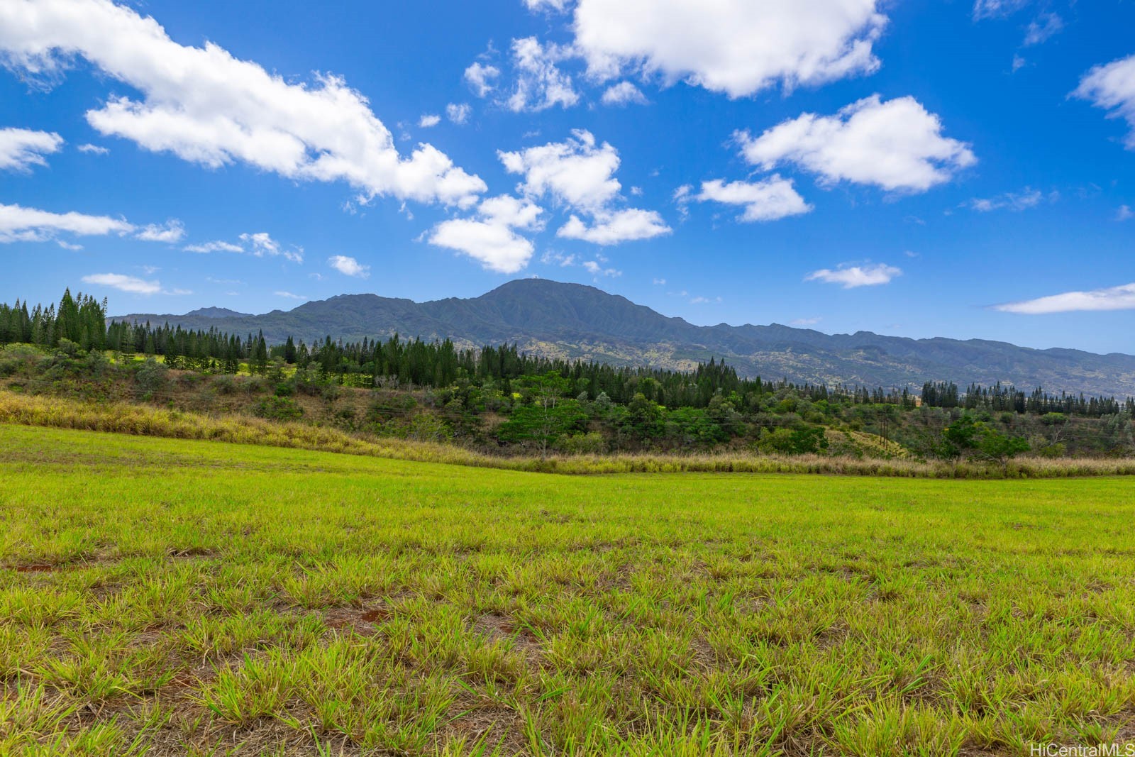 64-486 Kamehameha Highway 34F