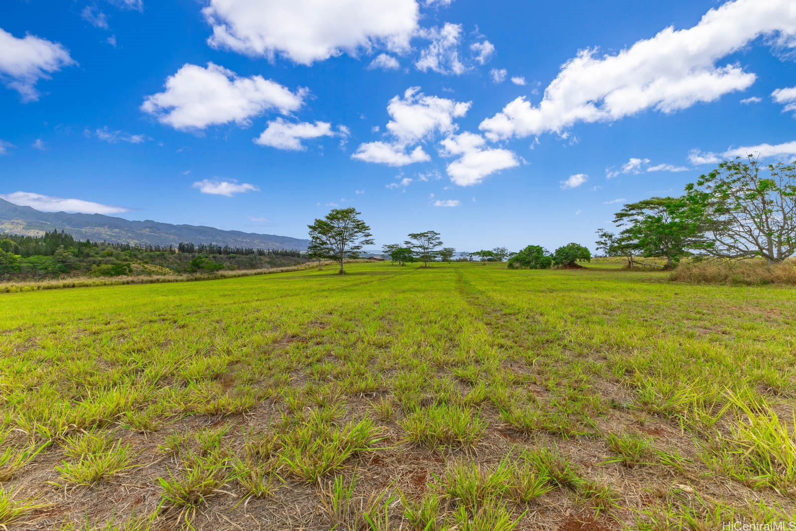 64-486 Kamehameha Highway 34F