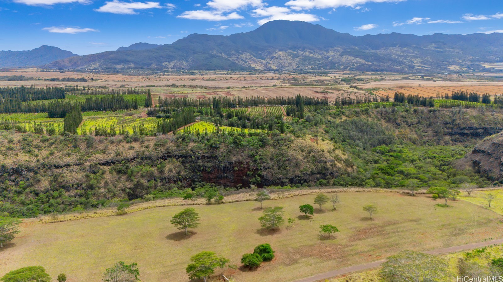 64-486 Kamehameha Highway 34F